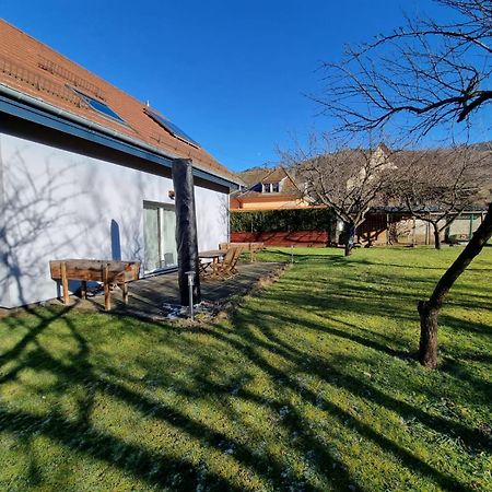 Le Gite De Cleo, Maison Spacieuse Et Paisible. Metzeral Exterior photo